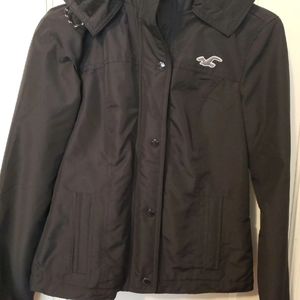 Hollister Coat